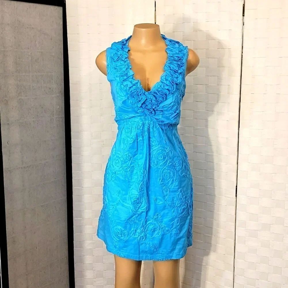 BRAND NEW TIANA B SLEEVELESS FLORAL EMBROIDERED FIT&FLARE DRESS